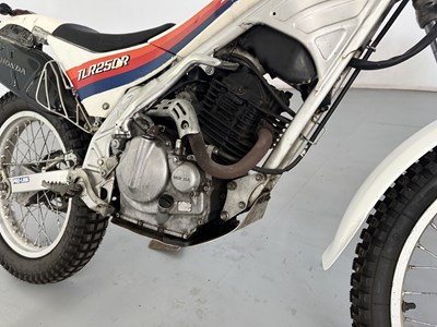 Lot 40 - 1986 Honda TLR 250R