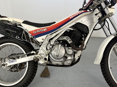 Lot 40 - 1986 Honda TLR 250R