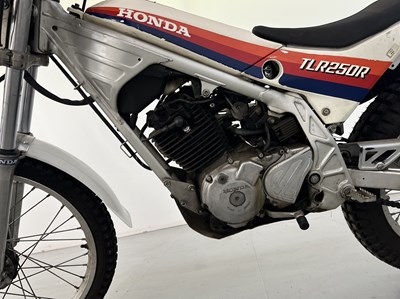 Lot 40 - 1986 Honda TLR 250R
