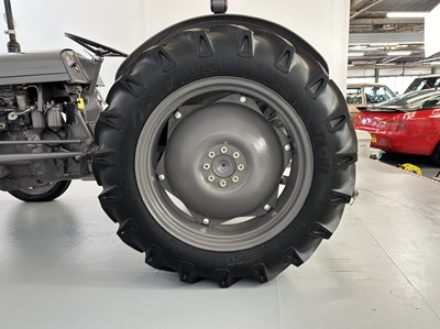 Lot 176 - 1954 Ferguson TE20 & Trailer