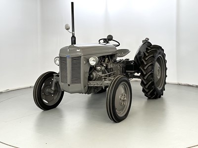 Lot 176 - 1954 Ferguson TE20 & Trailer