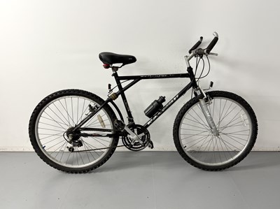 Lot 120 - Raleigh Pedal Bike - NO RESERVE