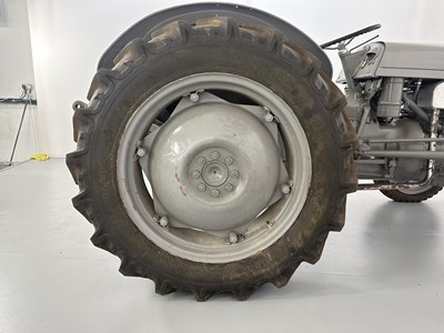 Lot 21 - 1951 Ferguson TE20