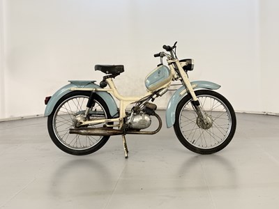Lot 11 - Demm Dik Dik