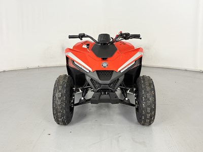 Lot 58 - Skytron Cub 110 Quad - NO RESERVE