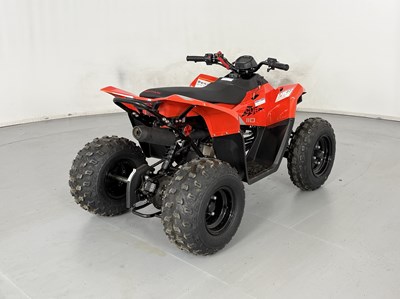 Lot 58 - Skytron Cub 110 Quad - NO RESERVE