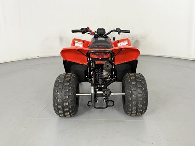 Lot 58 - Skytron Cub 110 Quad - NO RESERVE