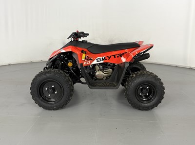 Lot 58 - Skytron Cub 110 Quad - NO RESERVE