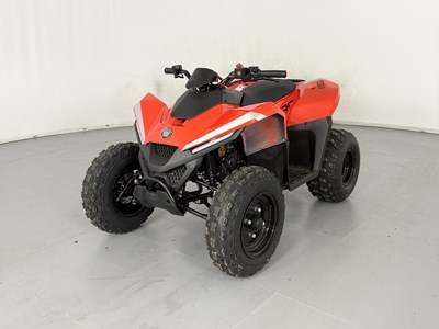 Lot 58 - Skytron Cub 110 Quad - NO RESERVE