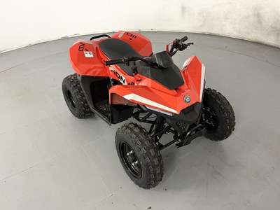 Lot 58 - Skytron Cub 110 Quad - NO RESERVE
