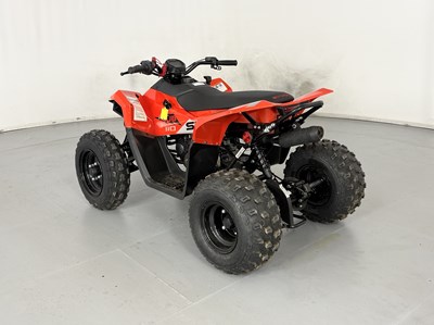 Lot 58 - Skytron Cub 110 Quad - NO RESERVE